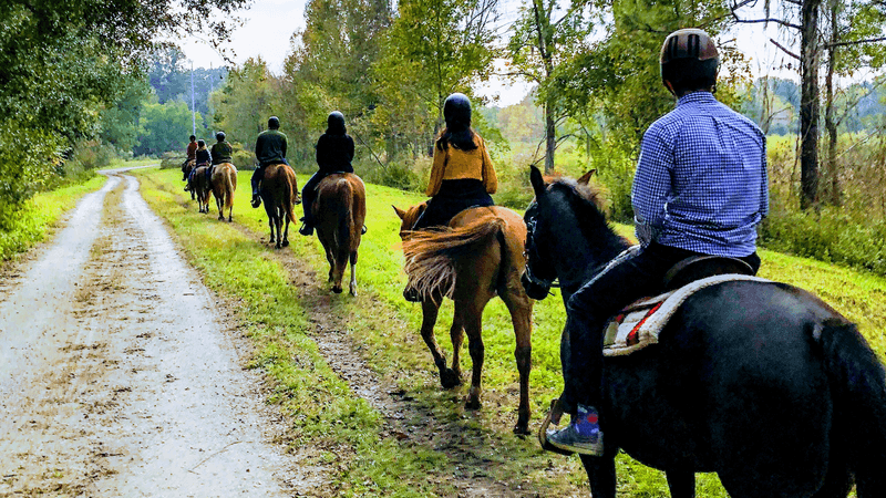13 Family-Friendly Horseback Riding Ranches Across Georgia That Make A Weekend Feel More Adventurous - Decor Hint Red Gate Farms - Equestrian Center