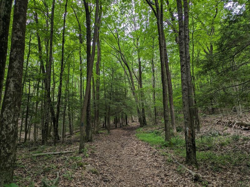 These 10 Scenic Connecticut Hikes Feel Like A Secret You're Glad You Found - Decor Hint Ragged Mountain Memorial Preserve, Berlin