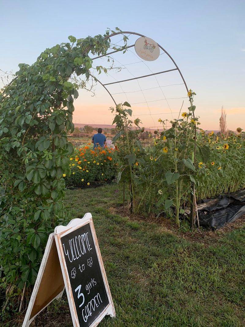 This U-Pick Farm Turns Flower Season Into A Colorful Little Escape