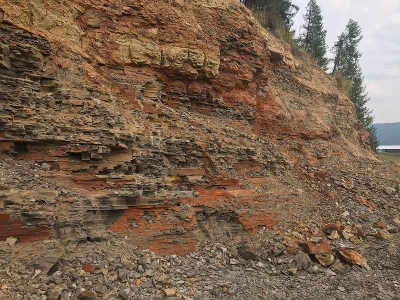 Fossil Bowl Lets Visitors Hunt For Real Miocene Treasures