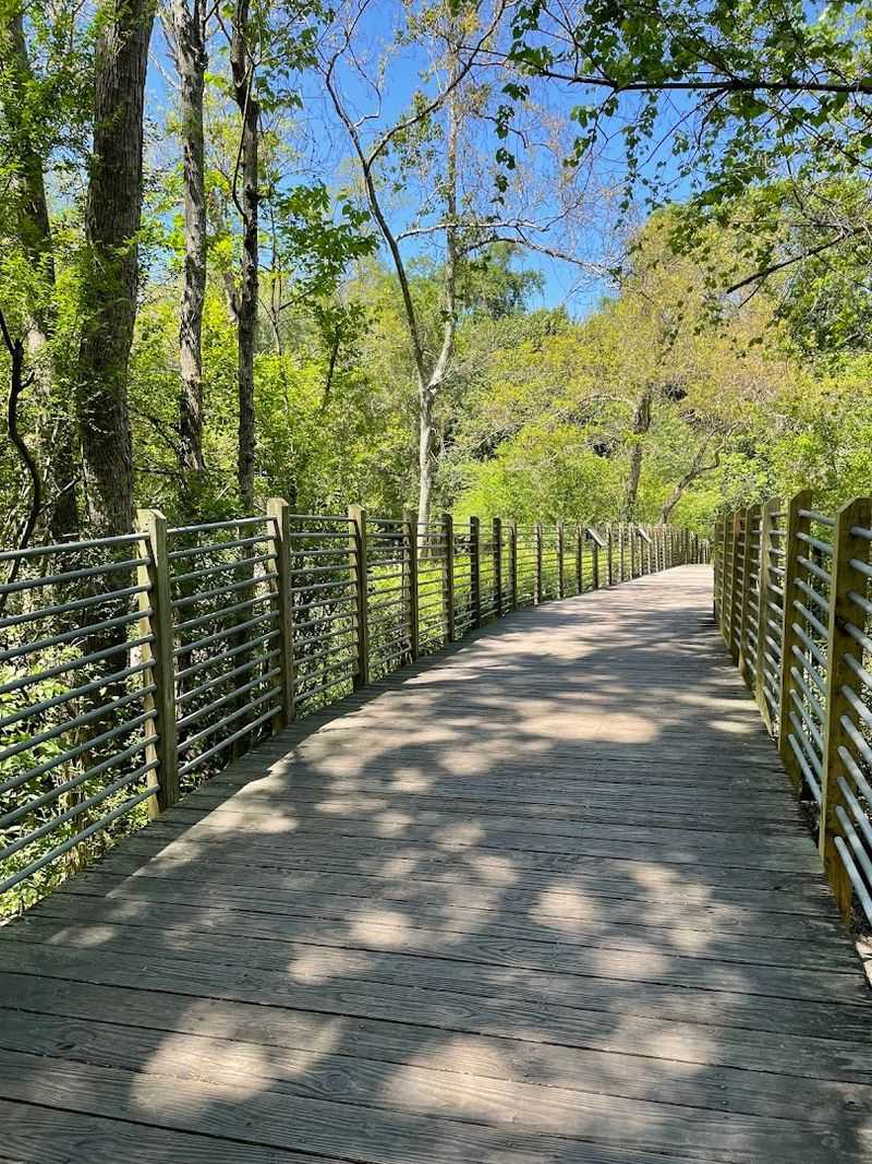 Why This Park Deserves A Full Day On Your Calendar