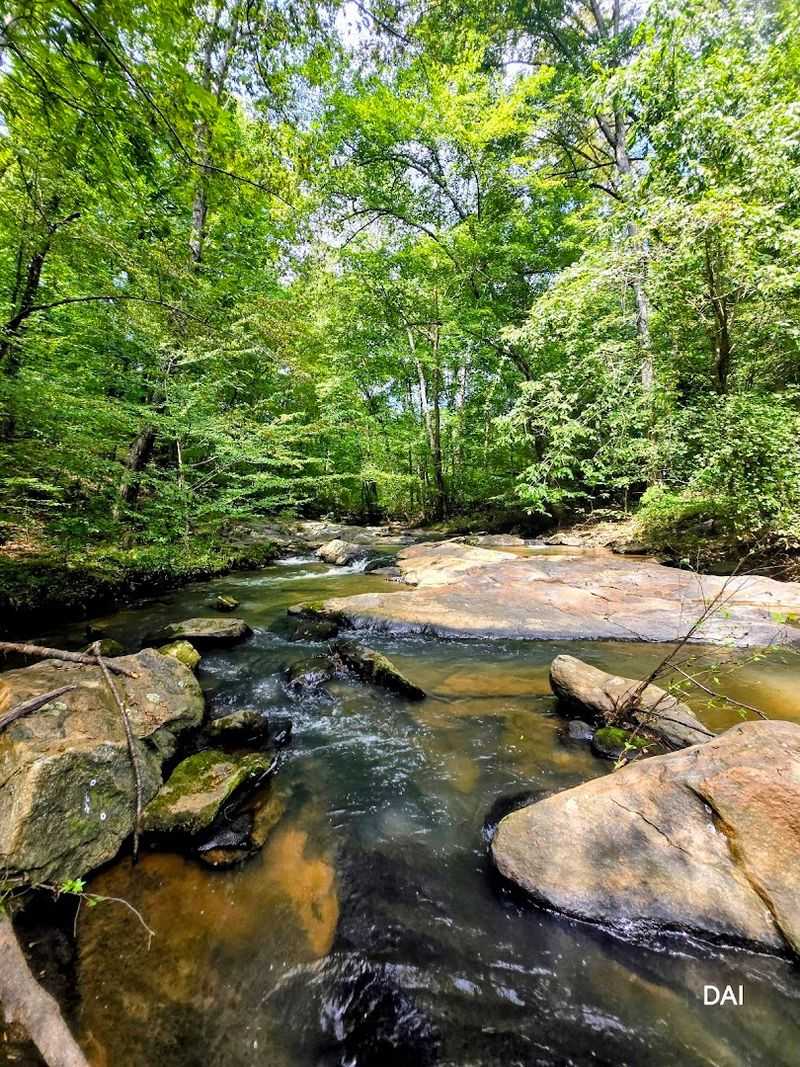 This Underrated State Park In Georgia Is So Little Known That Even Locals Don't Know It Exists - Decor Hint Peaceful Fishing Along The Creek And Lakes