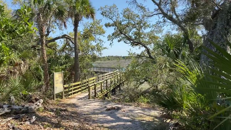 Salt Marsh Boardwalk And Coastal Scenery