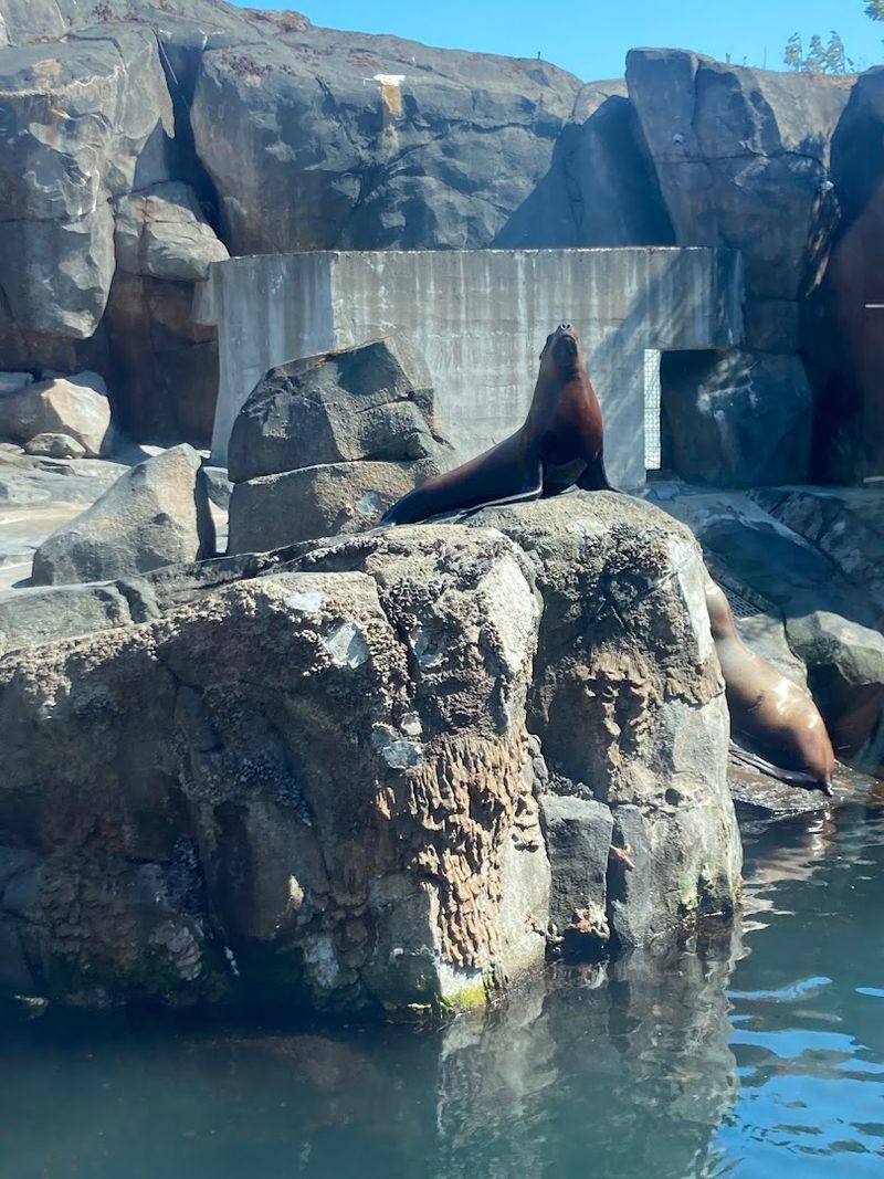The Alaska SeaLife Center