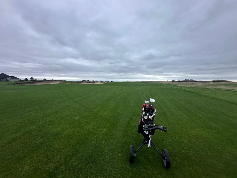 Watch The Bunkers Turn Simple Decisions Into Real Strategy