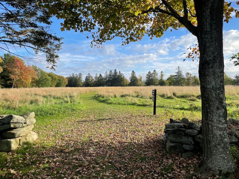 See The Sweeping Beauty Of Topsmead State Forest