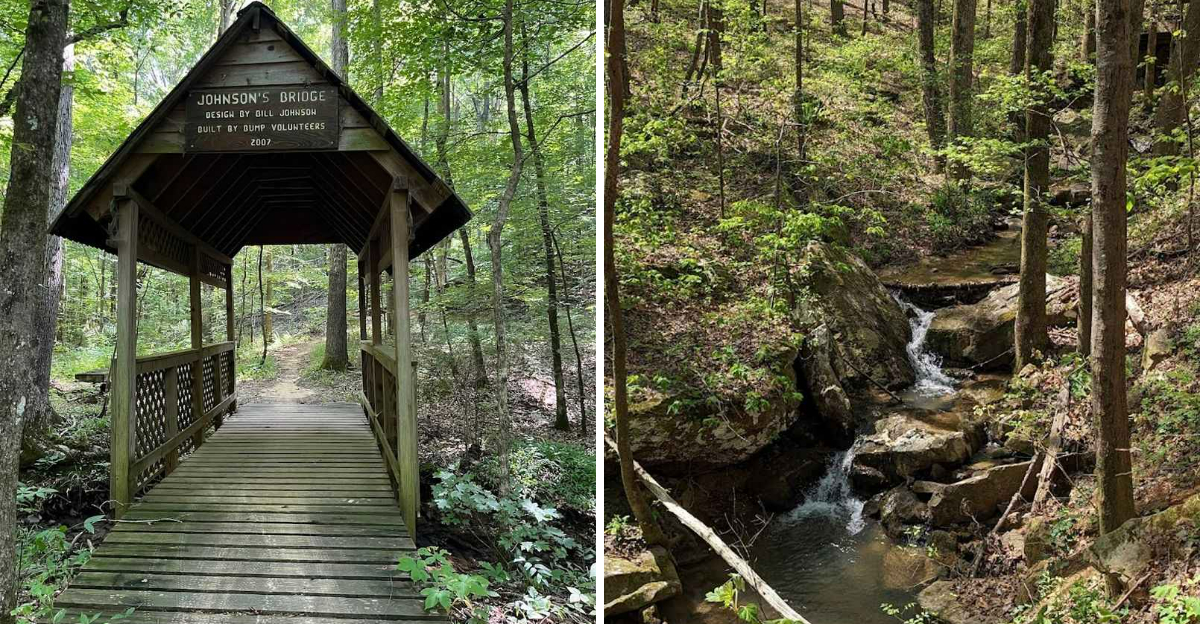 Explore This Alabama Trail Perfect For A Fresh Air Adventure - Decor Hint