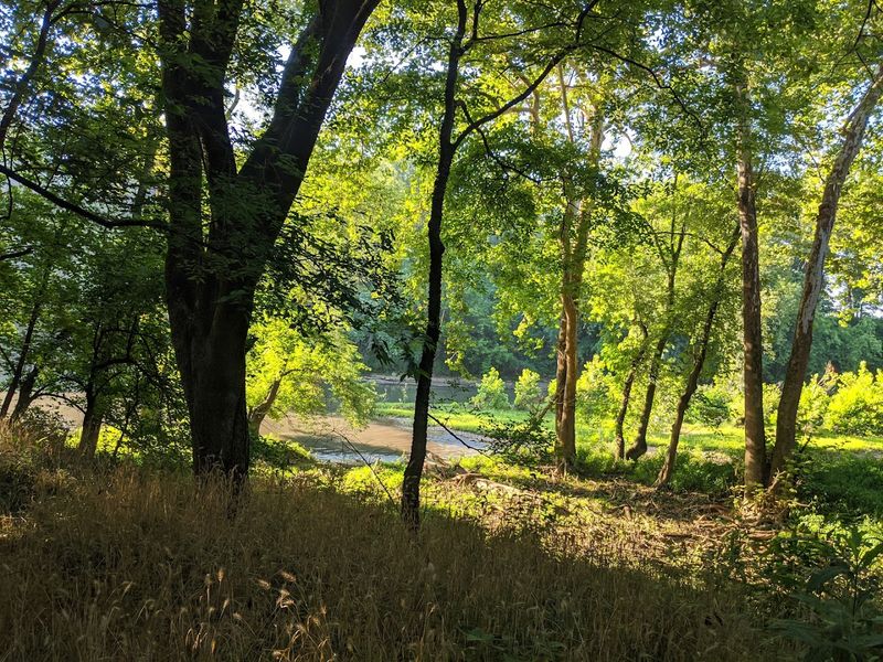 Henry Horton State Park