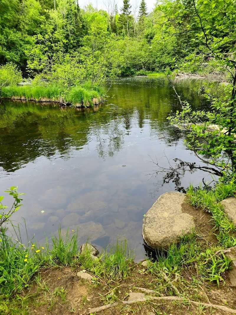 Fishing The Bond Falls Flowage