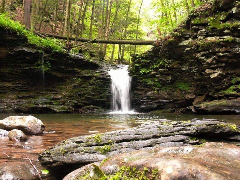 Why This Park Belongs On Your Pennsylvania List 