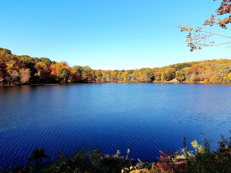 Stream Fishing In A Genuinely Peaceful Setting