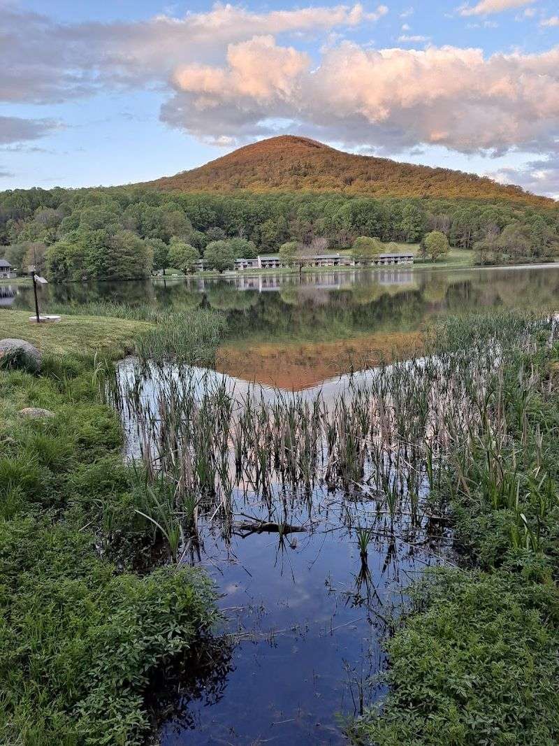 The Beauty Along This Virginia Lake Trail Makes The Whole Outing Worthwhile - Decor Hint Planning Your Visit And Practical Tips That Help