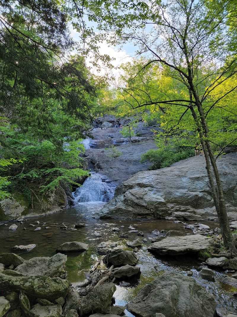 Cunningham Falls Nature Trail, Catoctin Mountain Park, Thurmont
