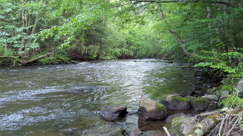 9 Connecticut Rivers Worth Visiting For A Peaceful Summer Escape - Decor Hint Quinnipiac River State Park, North Haven