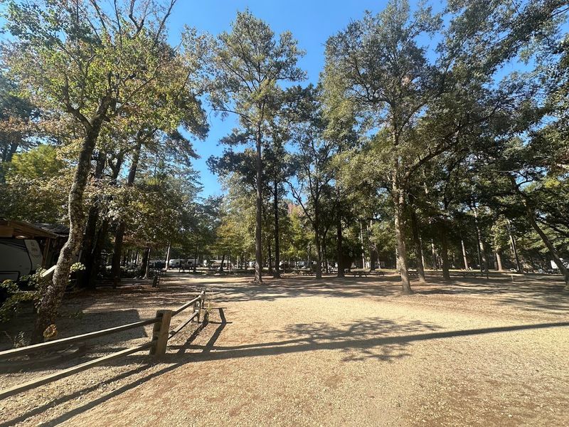 10 Louisiana Campgrounds That Make It Easy To Escape The Crowds - Decor Hint Land-O-Pines Family Campground Inc, Covington