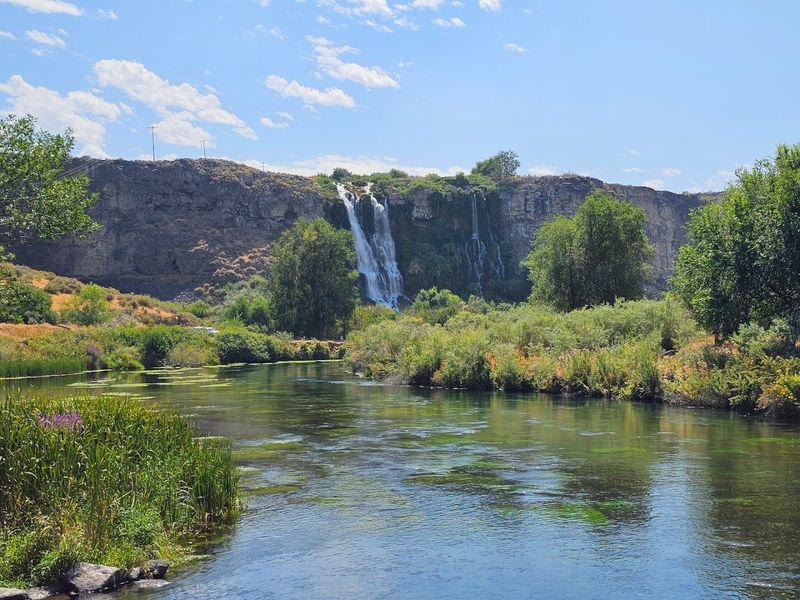 Thousand Springs State Park, Ritter Island Unit