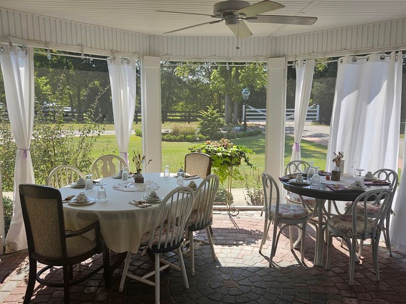 Lazy Fox Lavender Farm High Tea