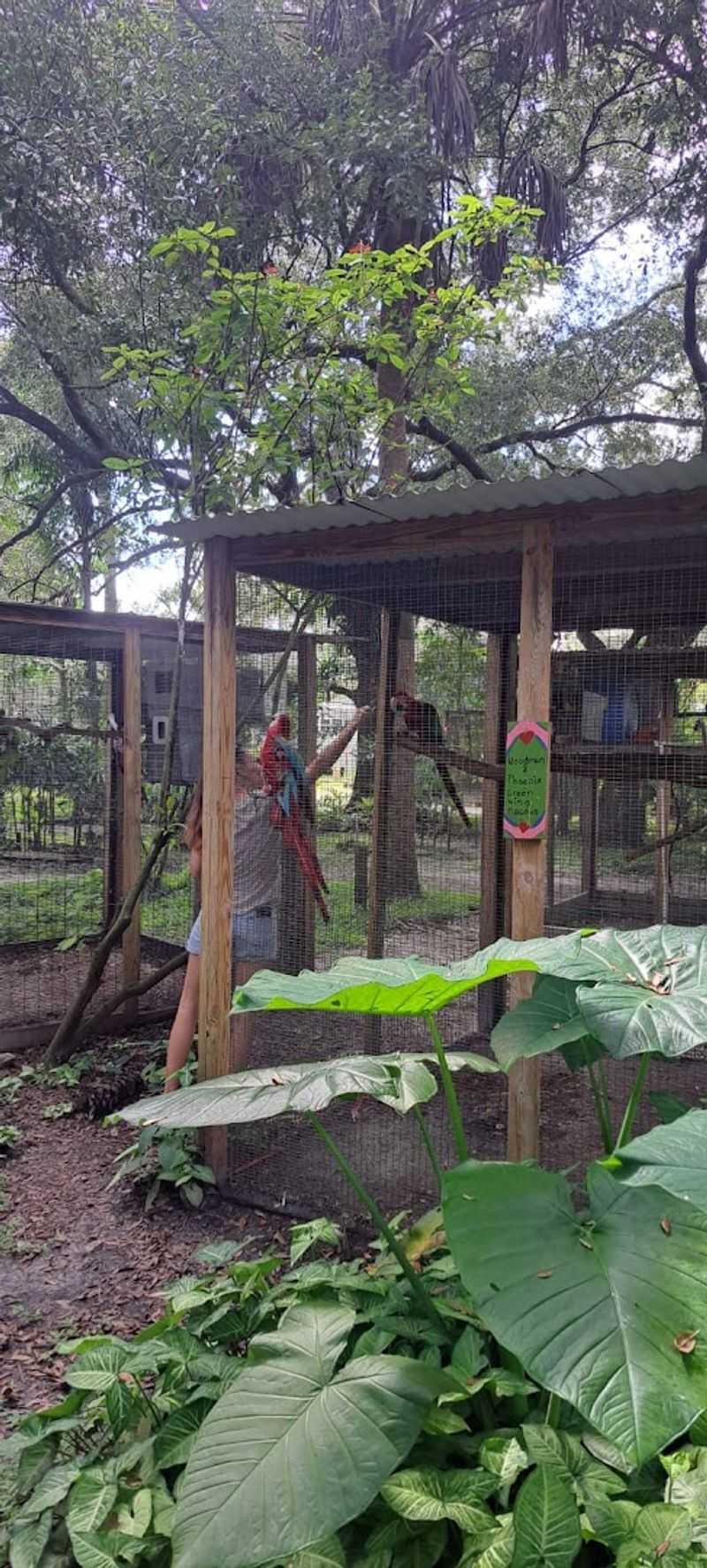 Volunteer Life At The Sanctuary