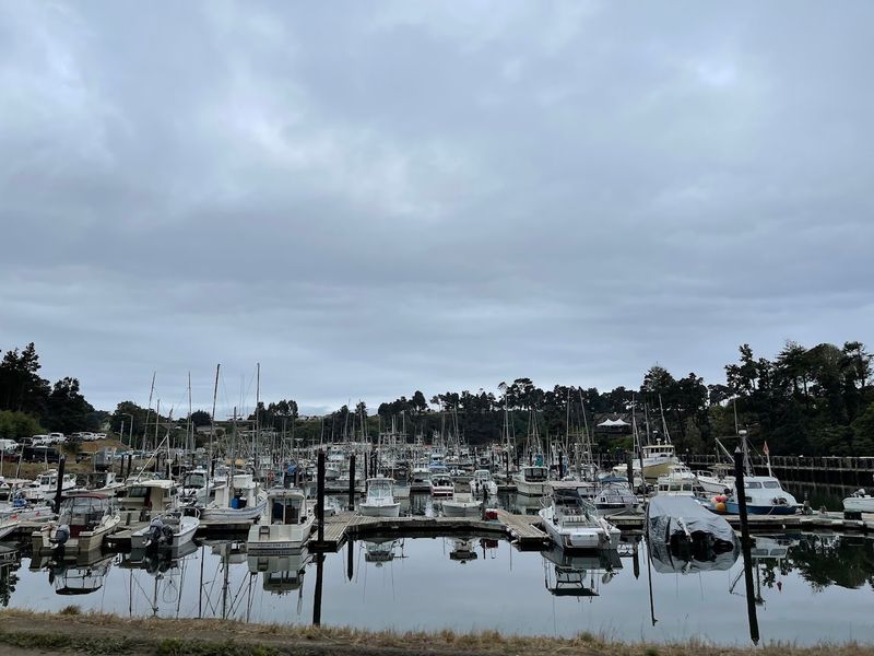 The World's Largest Salmon BBQ, Fort Bragg, July 5