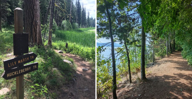 Few Walking Trails In Idaho Feel As Gentle And Peaceful As These 9 Senior-Friendly Routes
