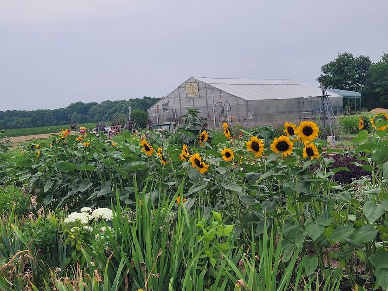 Gobbler Hill Farm