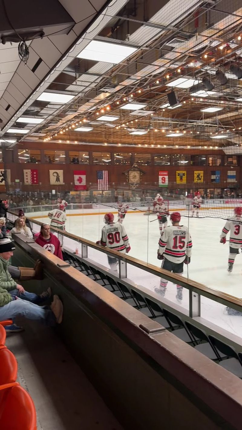 Watch Hockey Bring The Rink To Life