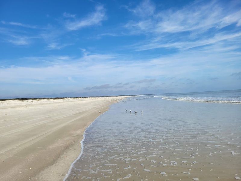 Seashell Collecting Along Miles Of Undisturbed Shoreline