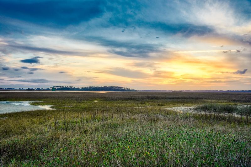 Butterbean Beach