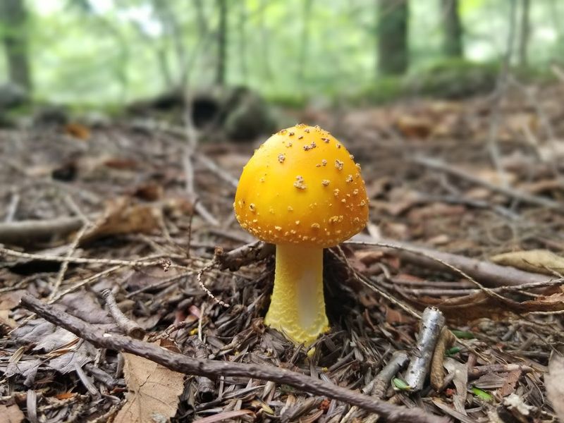 Wildlife And Nature Up Close