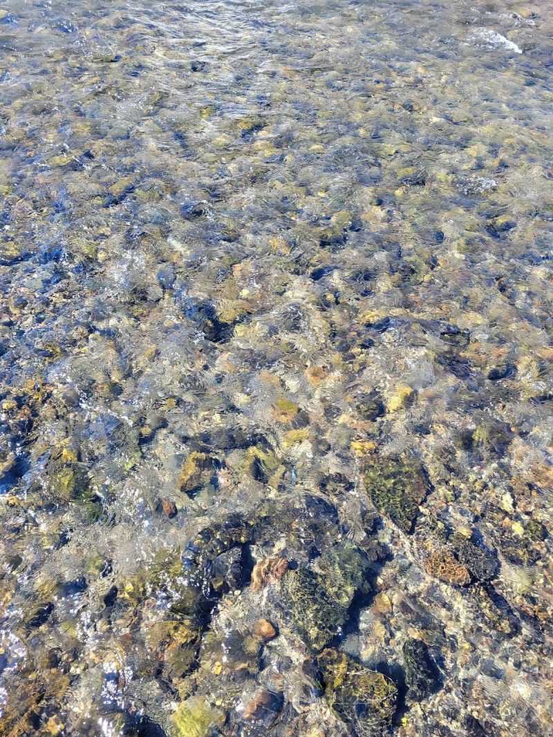 Nearby Springs Add Another Reason To Wander A Little Farther