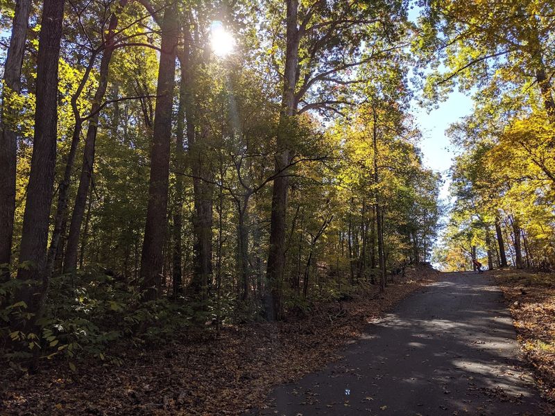 Trails That Lead You Somewhere Worth Going