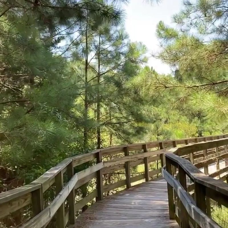 Trails Through Maritime Forest