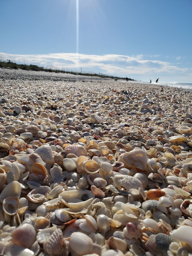 Shelling Like You Mean It