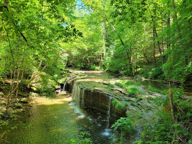 12 Kentucky Summer Adventures That Are Big On Fun And Easy On The Budget - Decor Hint Princess Falls Trailhead