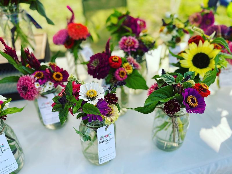 Brooks & Fawn Farm