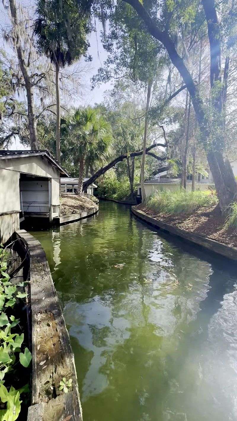 Best Times To Visit The Canal