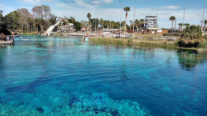 8 Florida Adventures That Start With A Full Tank And A Free Day - Decor Hint Weeki Wachee Springs State Park