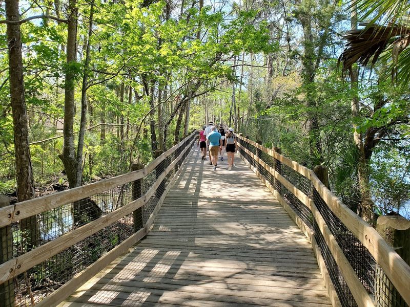 Birdwatching On The Pepper Creek Trail