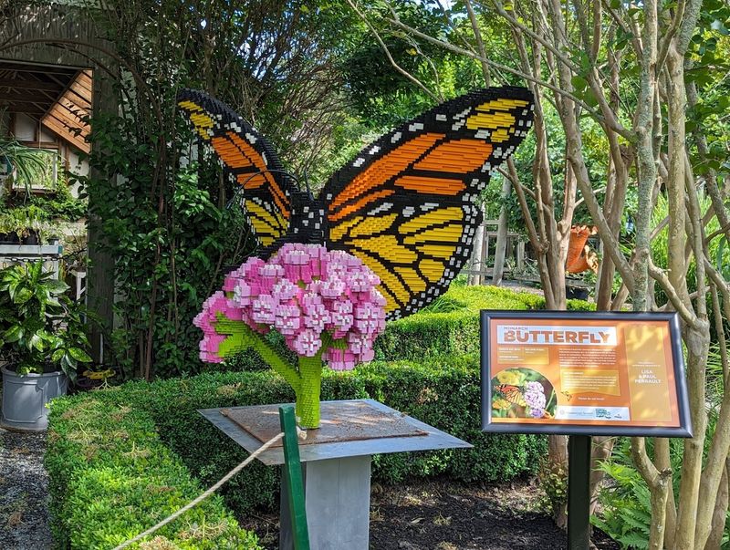 Wildlife Joins The Garden Party