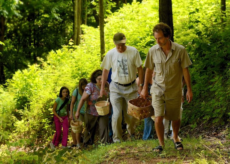 This North Carolina Foraging Tour Lets You Hunt For Wild Mushrooms In The Asheville Woods - Decor Hint Let The Forest Turn Lunch Into A Treasure Hunt