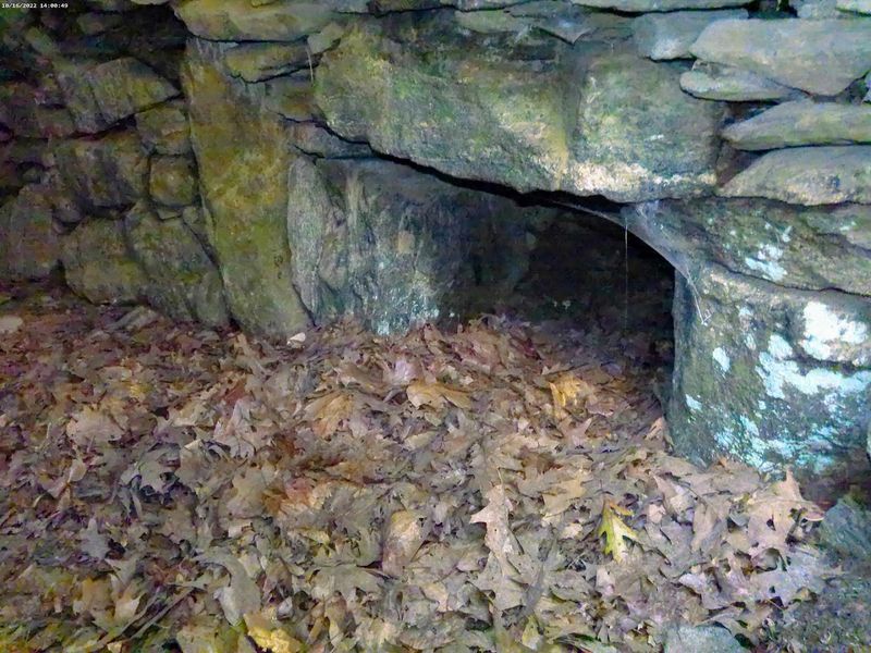 Visit When The Woods Feel Quiet And Moody