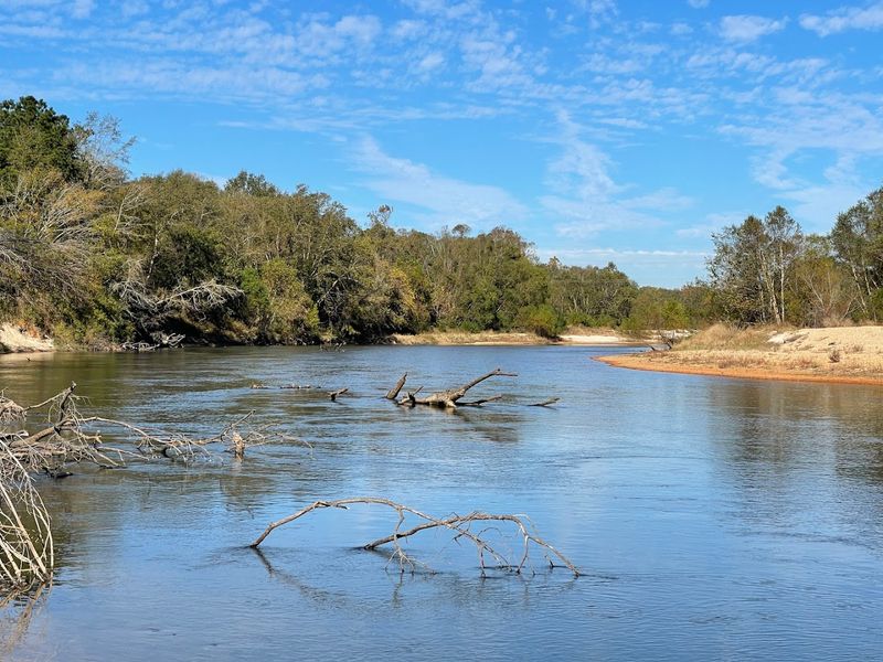 Bogue Chitto State Park