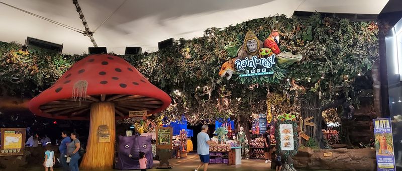 Entertainment And Attractions Inside The Mall