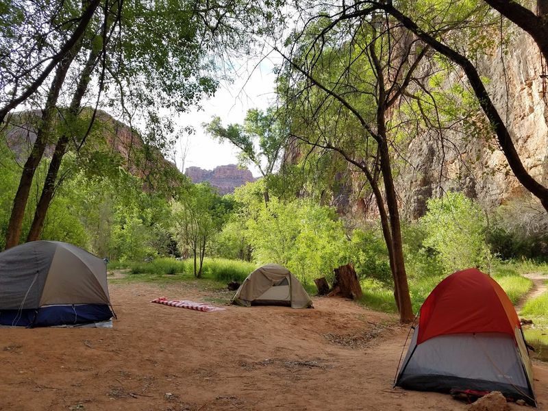 Camping In The Canyon