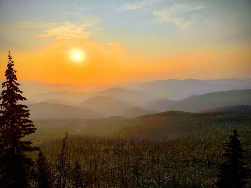 The Idaho Backcountry Road That Climbs Nearly 9,000 Feet And Feels Miles From Everything - Decor Hint Historic Nez Perce Travel Routes Add A Deeper Story