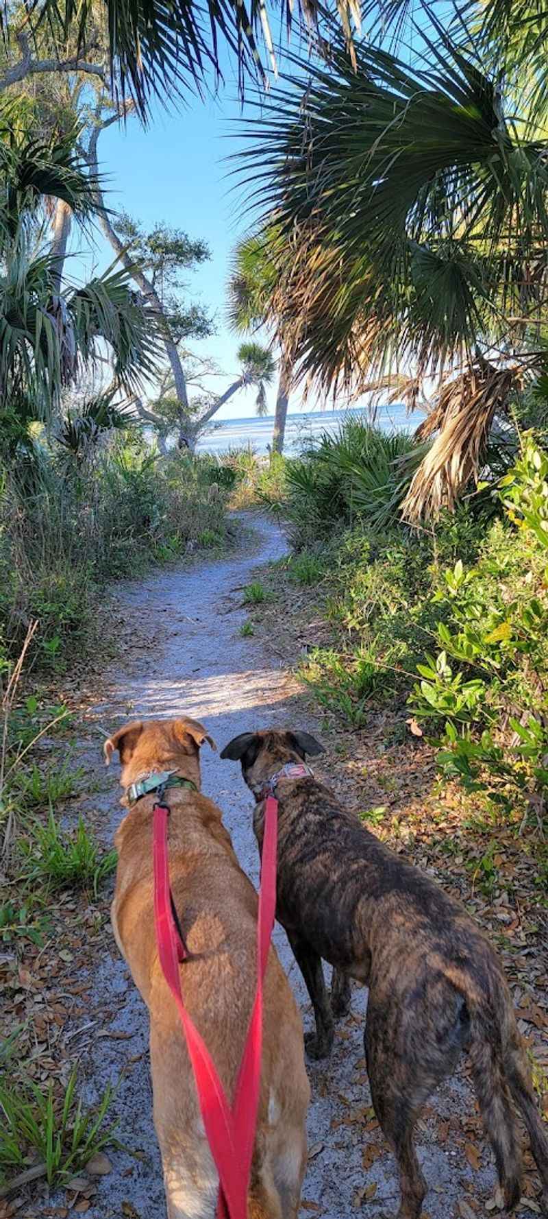 Cape San Blas, Gulf County