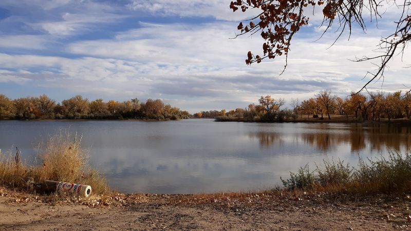 Bridgeport State Recreation Area, Bridgeport