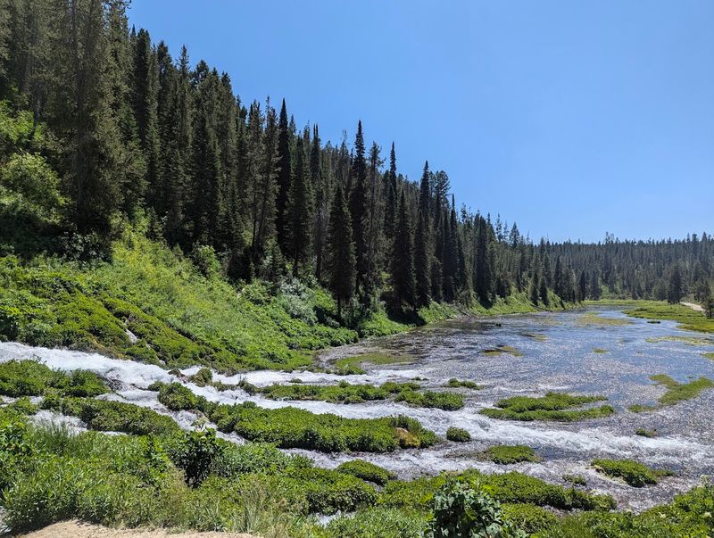 Summer Moves Slower Beside The Water Here