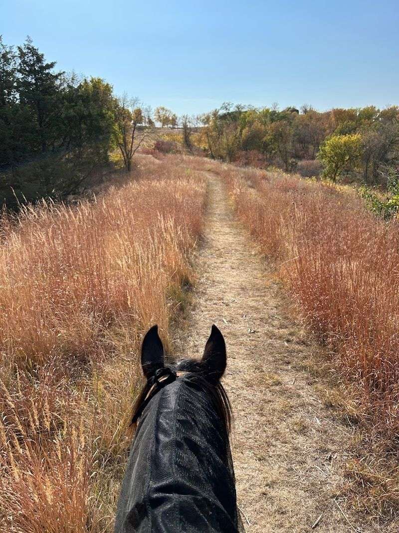 Horseback Riding Feels Like A Natural Fit For This Landscape