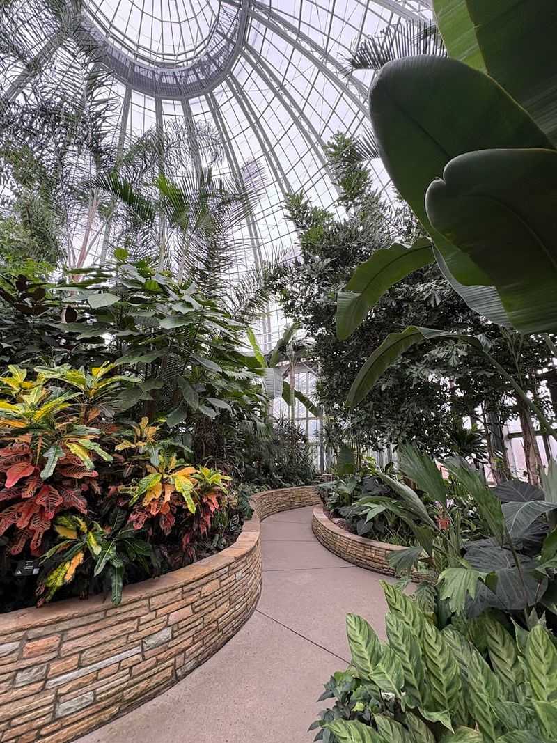 The Greenhouse And Conservatory Right Next Door